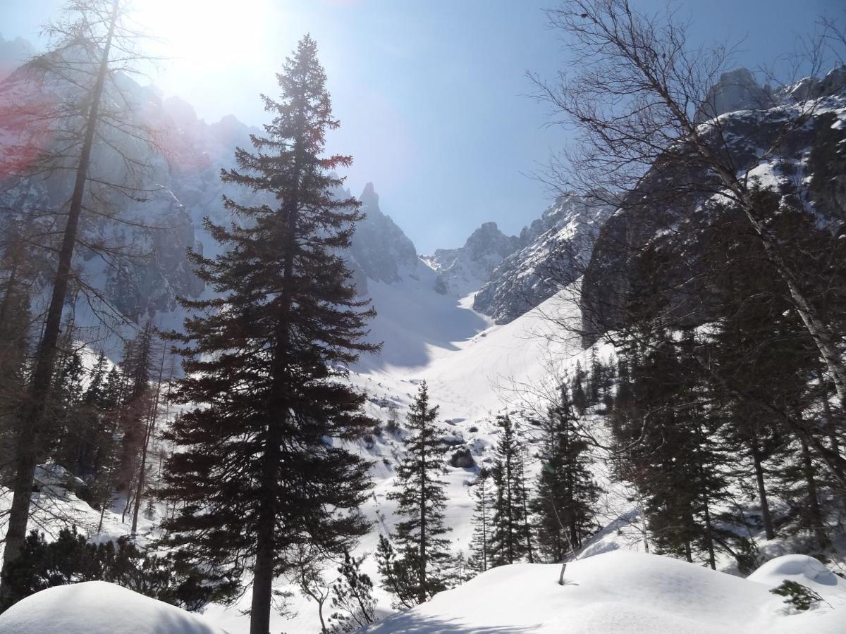 Apartmenthaus Edelweiss In Gosau Bagian luar foto