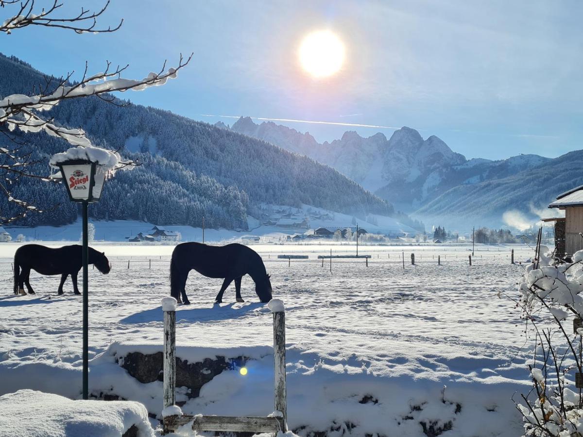 Apartmenthaus Edelweiss In Gosau Bagian luar foto