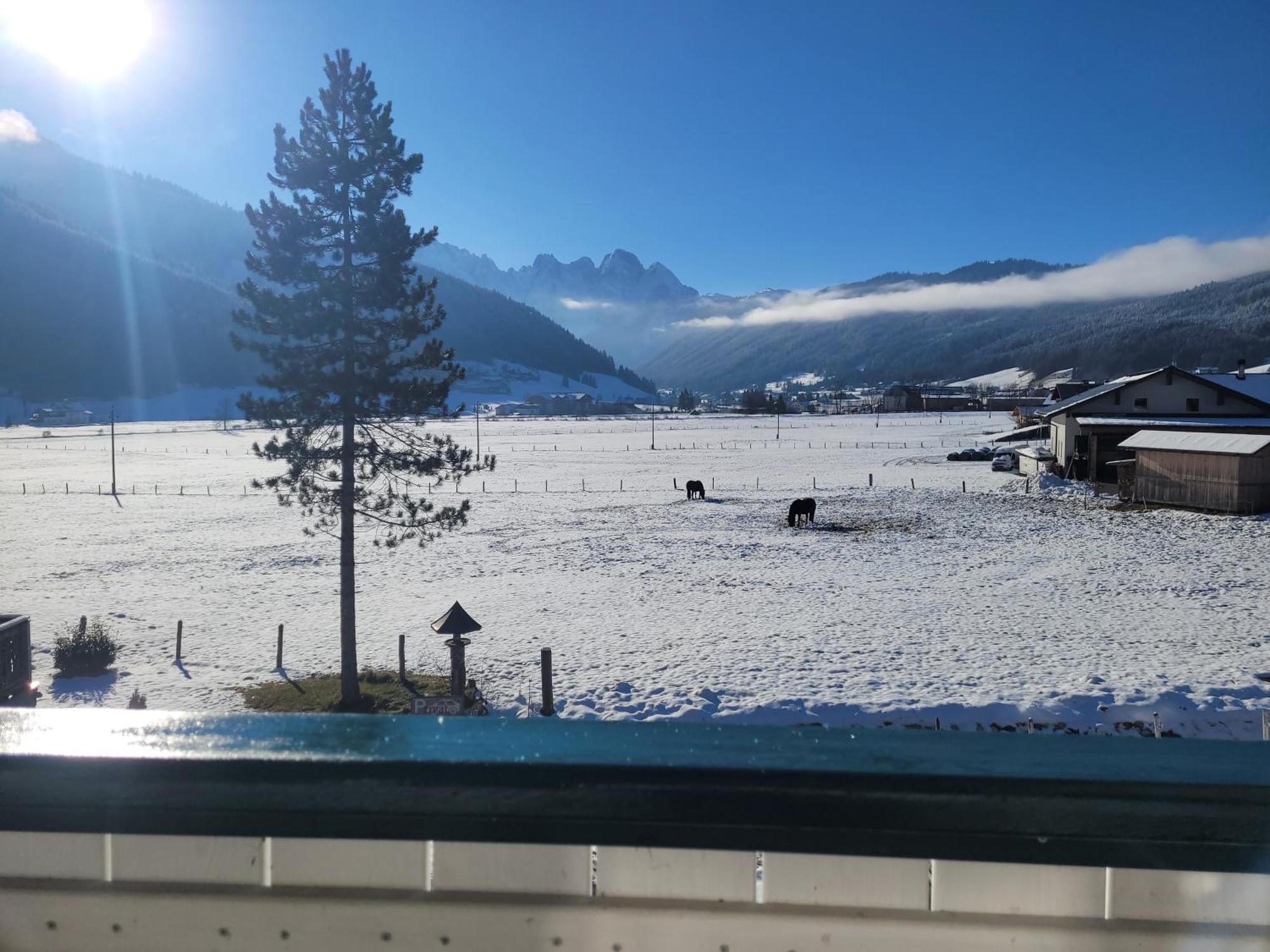 Apartmenthaus Edelweiss In Gosau Bagian luar foto