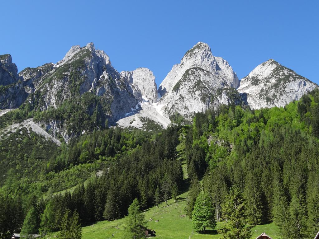 Apartmenthaus Edelweiss In Gosau Ruang foto